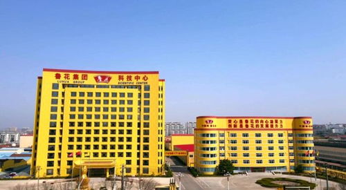 40年如一日,魯花以品質(zhì)書(shū)寫(xiě) 國(guó)貨之光