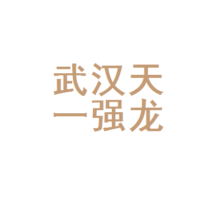武漢天一強龍稅務(wù)代理 專業(yè)服務(wù)助力企業(yè)穩(wěn)健發(fā)展
