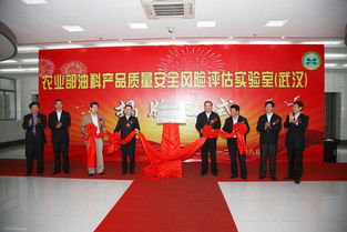 中國(guó)農(nóng)業(yè)科學(xué)院油料作物研究所如何高效選擇武漢稅務(wù)代理服務(wù)