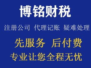 代理記賬與稅務咨詢 助力內資小規模企業高效運營